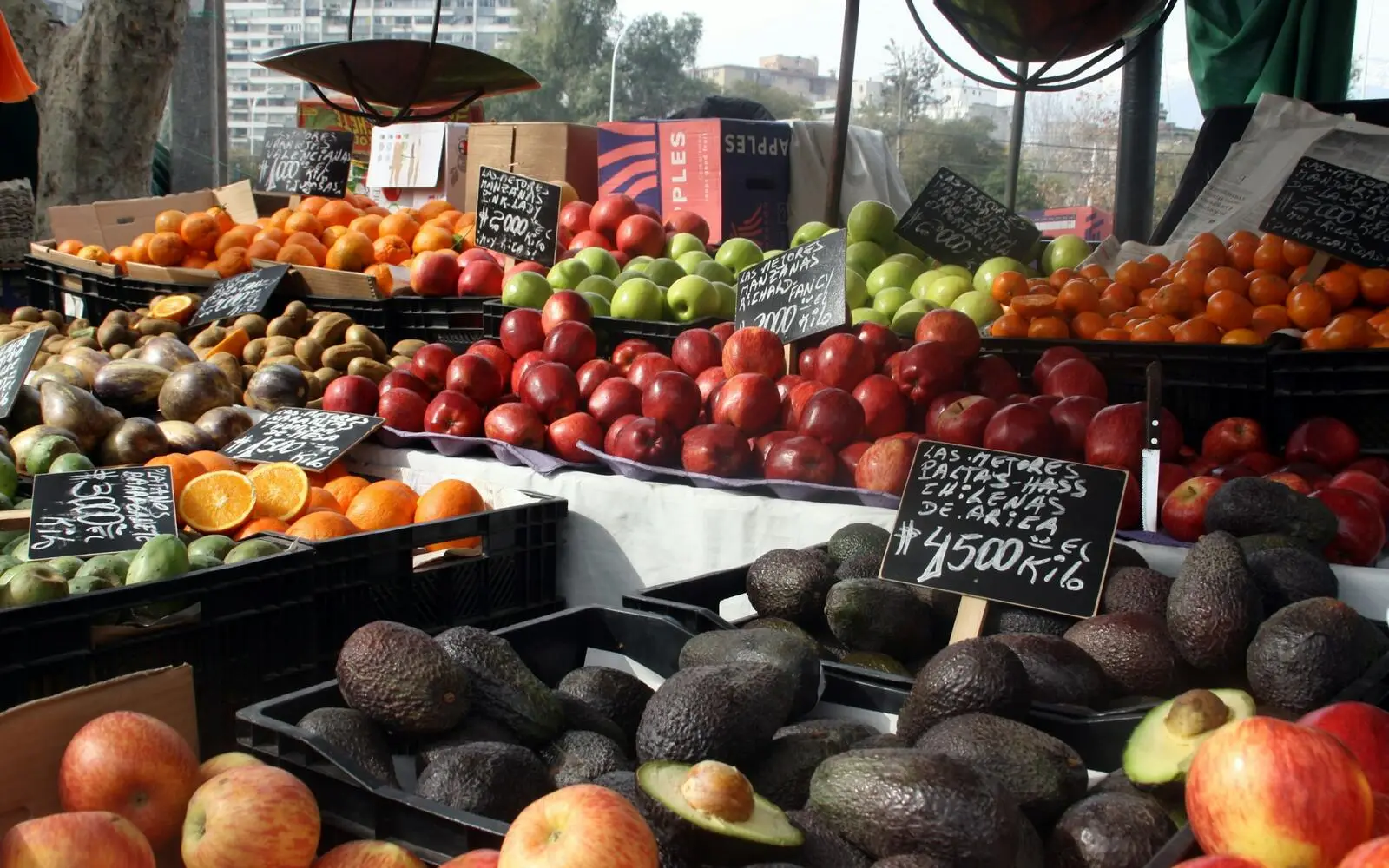 Food photograph for Mercados, Santiago