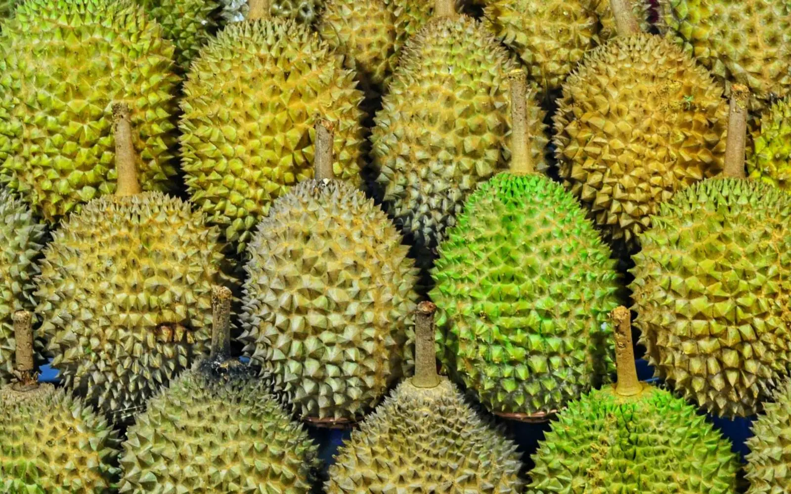 Food photograph for Yaowarat / Talat Noi / Song Wat, Bangkok