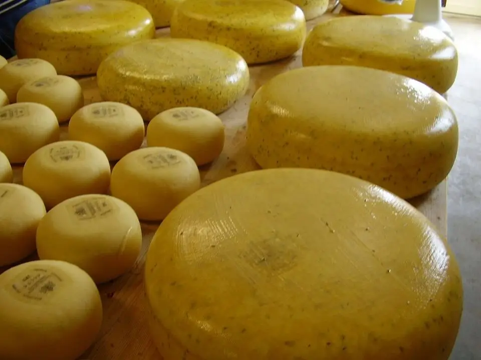 Cheese (example photo, not taken at a stop in this guide)