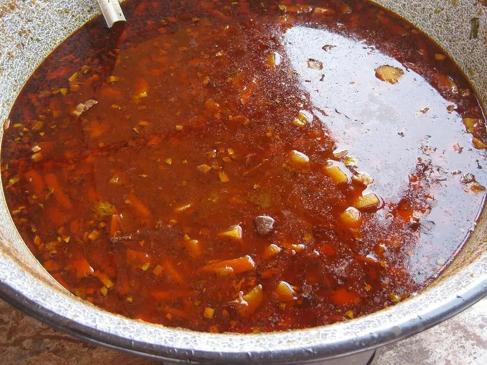 Goulash soup (example photo, not taken at a stop in this guide)