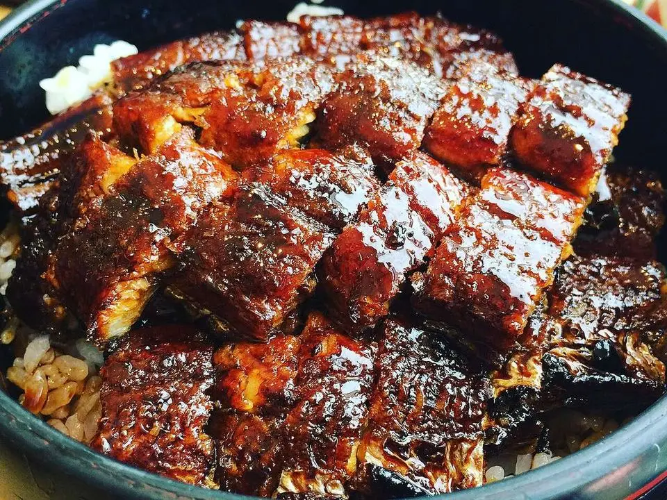 Grilled eel on rice (example photo, not taken at a stop in this guide)