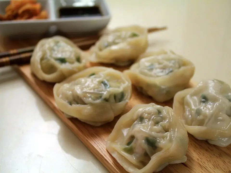 Dumplings (example photo, not taken at a stop in this guide)