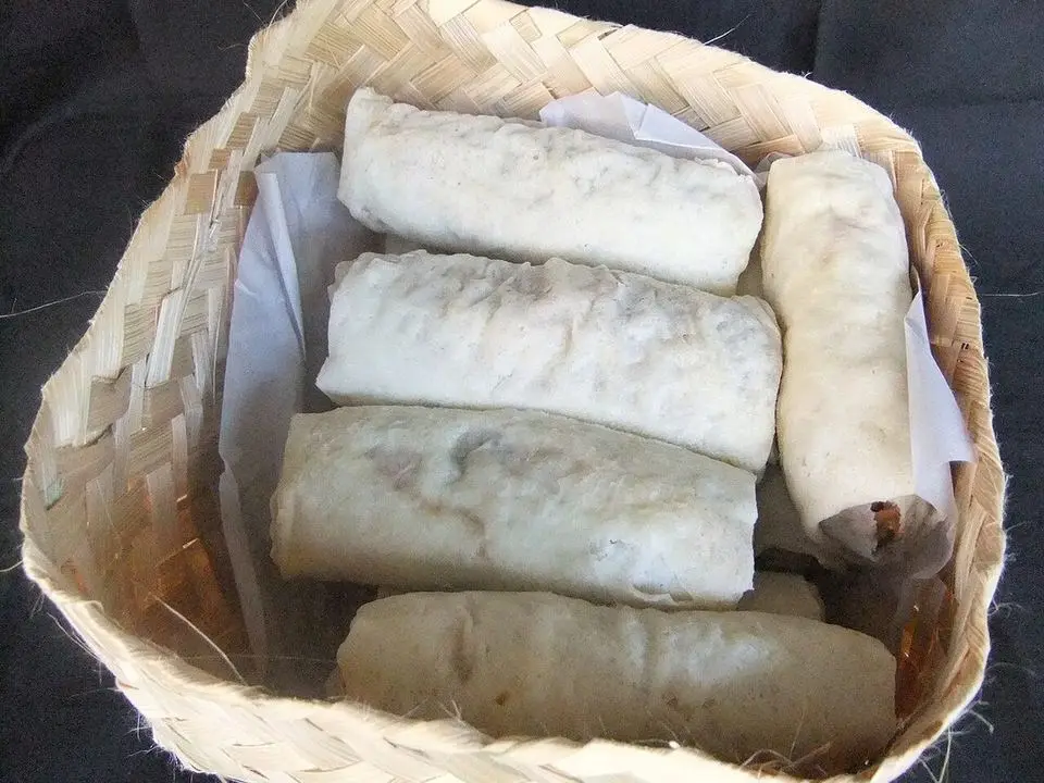 Popiah (example photo, not taken at a stop in this guide)