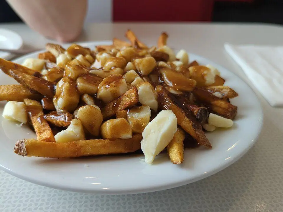 Poutine (example photo, not taken at a stop in this guide)