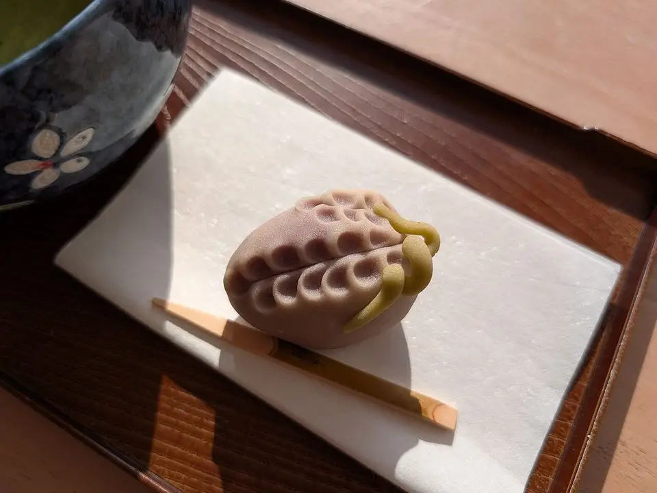 Wagashi (example photo, not taken at a stop in this guide)